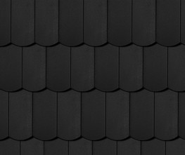 Черный (Protector)